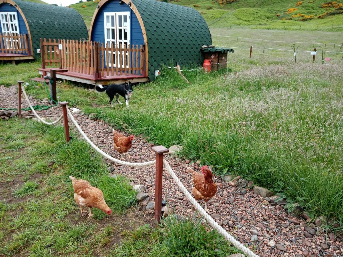 Отель Wee Hoose Glamping Pod 1 Skail Экстерьер фото